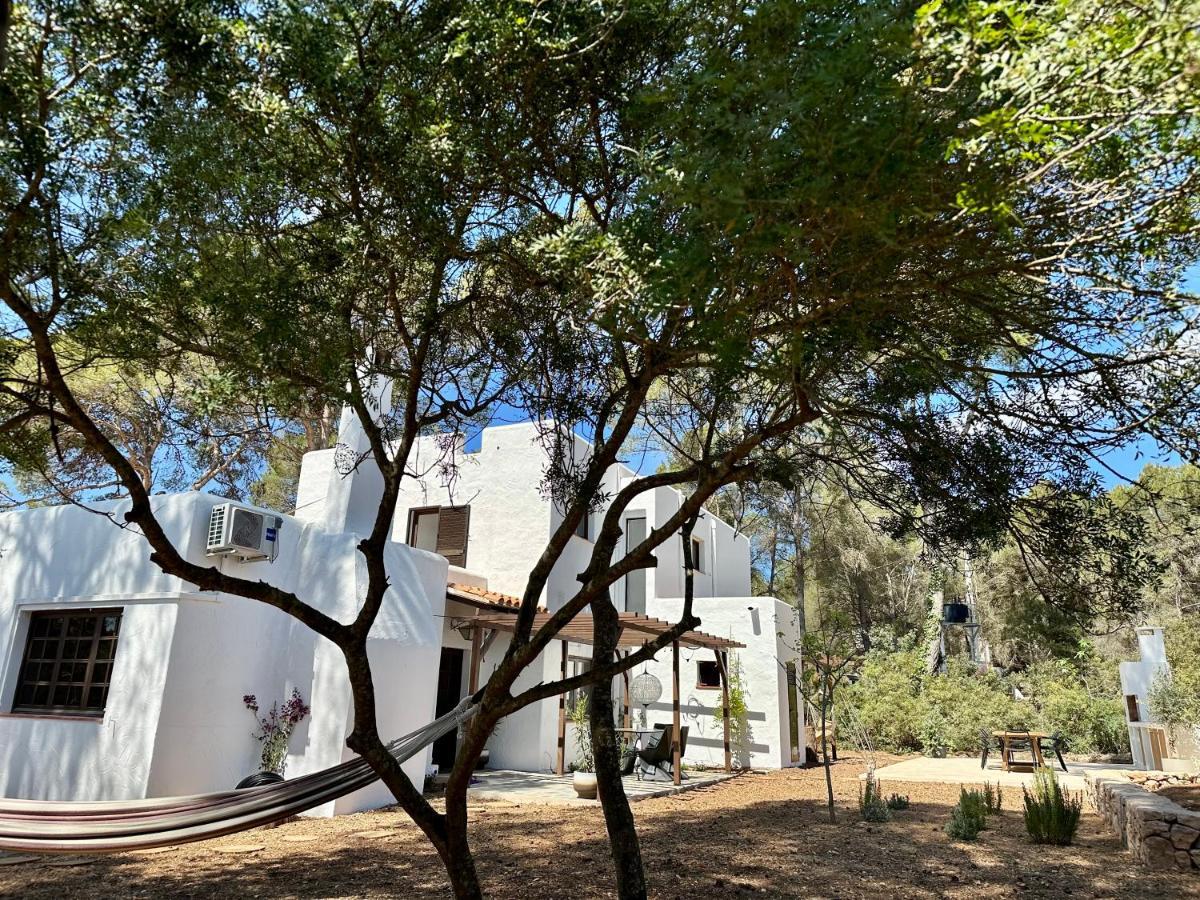 Spacious & Luxury Villa In Ibiza - Santa Gertrudis - Villa Chiquita Esterno foto