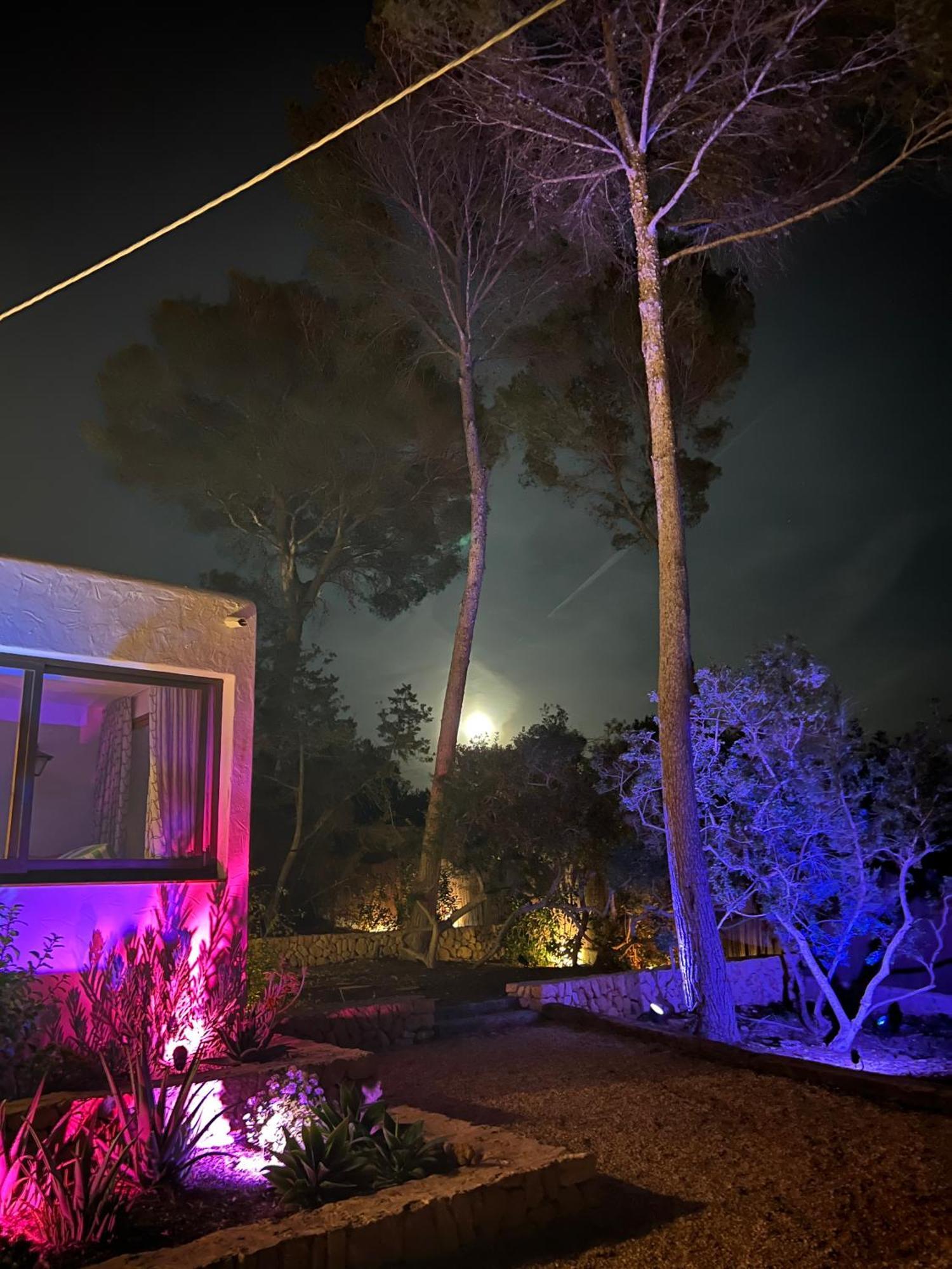 Spacious & Luxury Villa In Ibiza - Santa Gertrudis - Villa Chiquita Esterno foto
